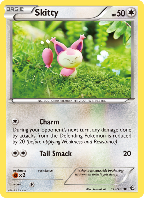 xy5-113